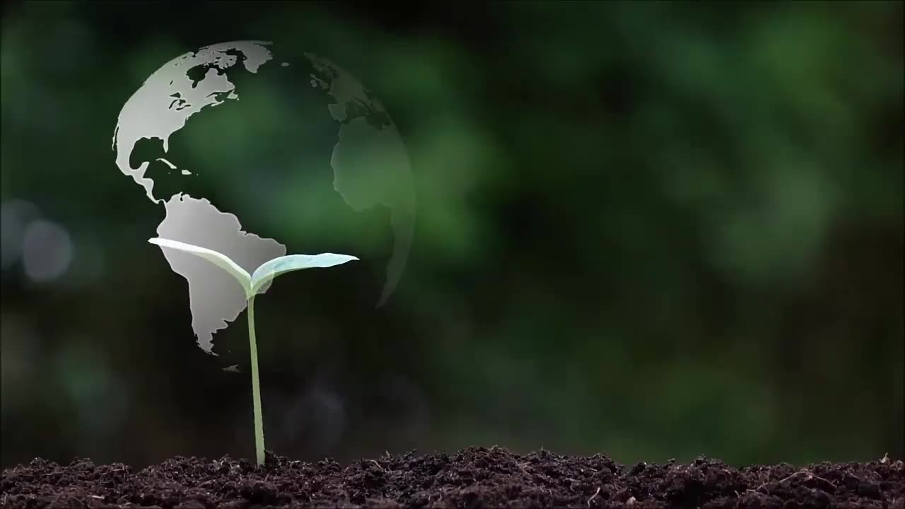 Brote de planta regado a mano